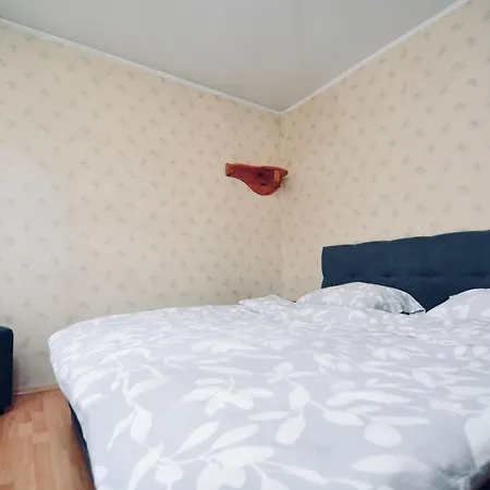 Spacious With Balcony 公寓 塔林